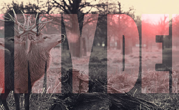 deer